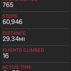 steps.PNG