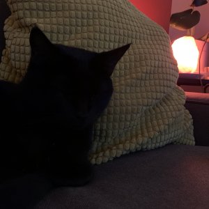 IMG_0902.jpeg