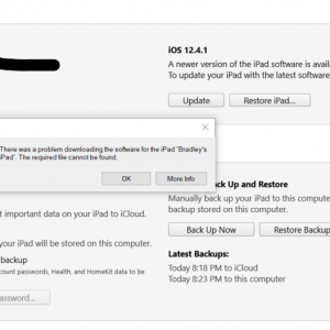 iPad Air 2.png