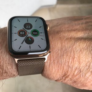 gold watch.jpeg