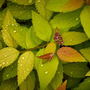 2024-05-15 ~ _R5_7579.jpg