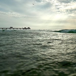 Flordia 2024 (2).jpeg