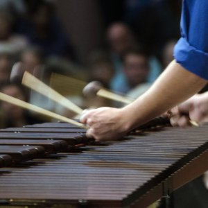 Xylophone - 2500px.jpg