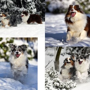 3_Aussies_Snow_Day.jpg