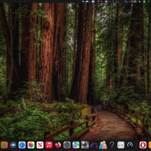 2024-05-28 19.21.37.jpeg