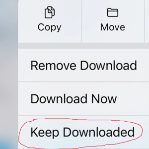 files-ios18-download_80e65e.png
