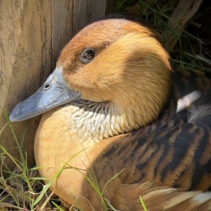 IMG_3900.jpeg