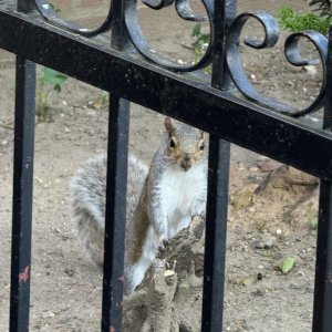 IMG_3015.jpeg