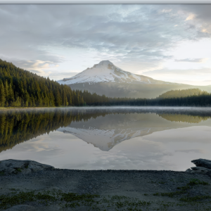 TMDesktop - 20:06:2024.png