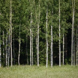 2024-06-21 ~ _R5_7357.jpg