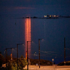 2024-06-23 ~ _R5_7586.jpg