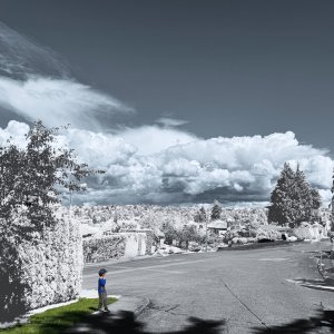 POTD June - 1_a 2.jpeg