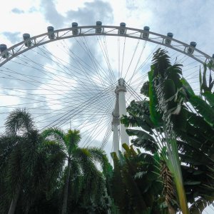 Singapore Flyer.jpg