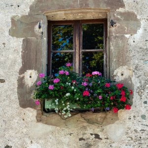 Window 2000px wide.jpg