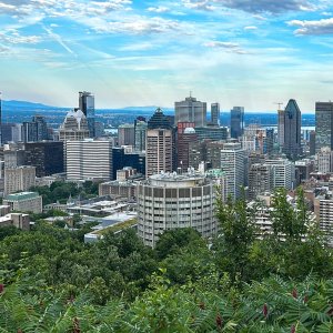 Montreal.jpg
