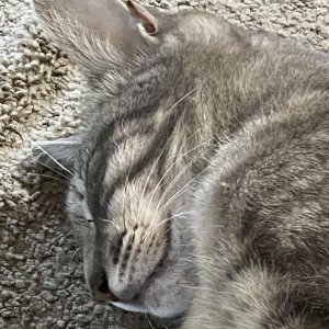 IMG_3377.jpeg