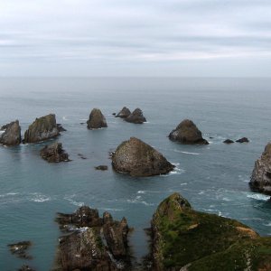 NZ_IMG_7008.jpg