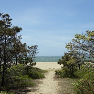 chappybeachpath2k.jpg