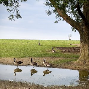 IMG_6364.jpeg
