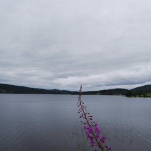 CSC_001 (10).jpeg