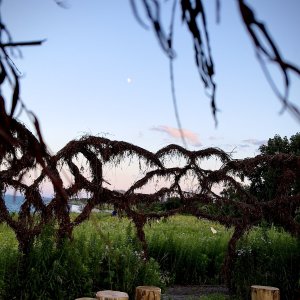 IMG_6165.jpeg