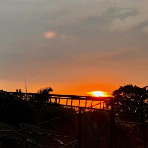 IMG_1706.jpeg
