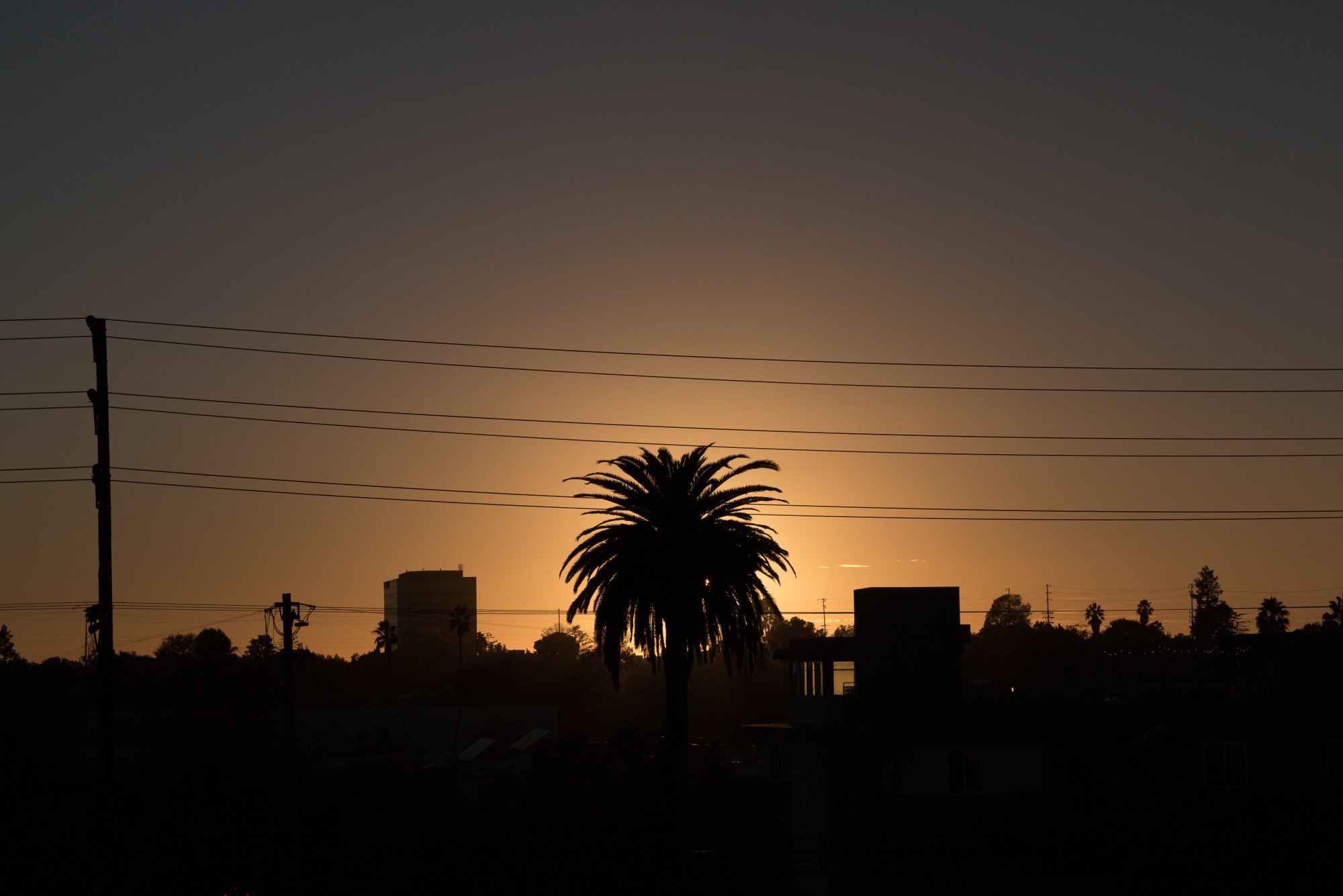 0013_2017.11.04_17.43'58-1-SOOC.jpg