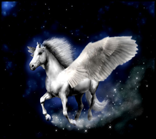 003_pegasus.jpg