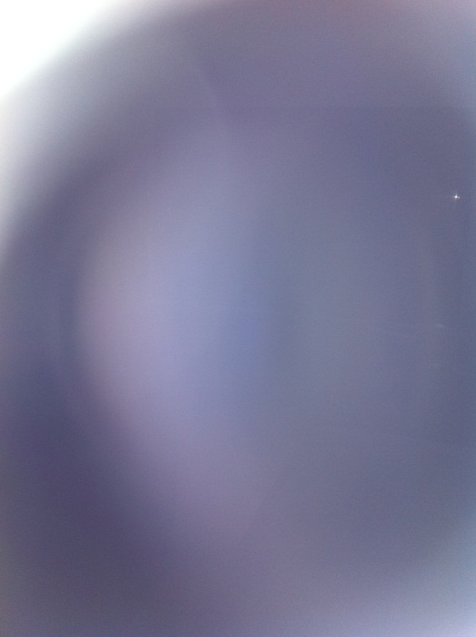 010.JPG