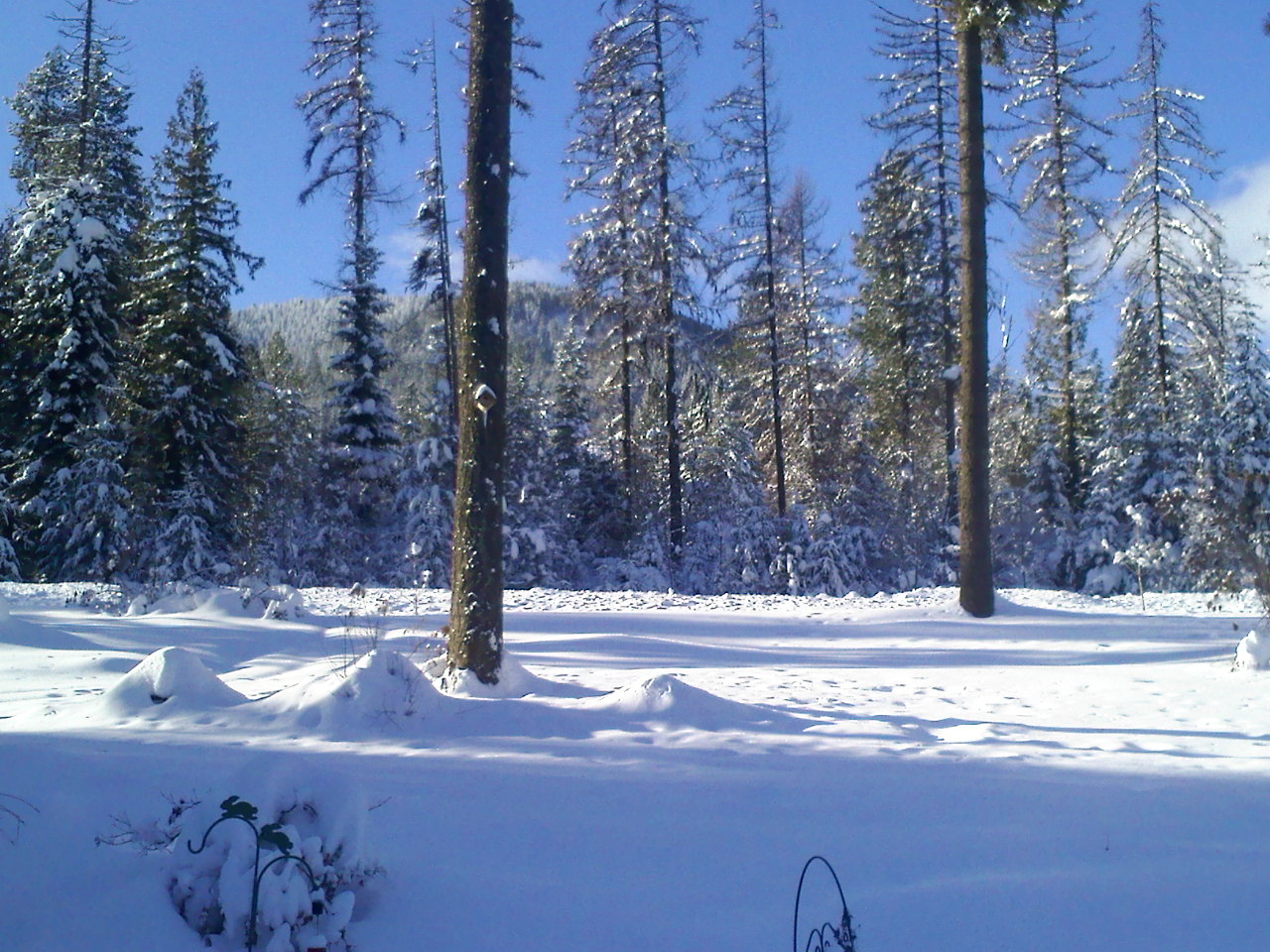 0102091036a.jpg