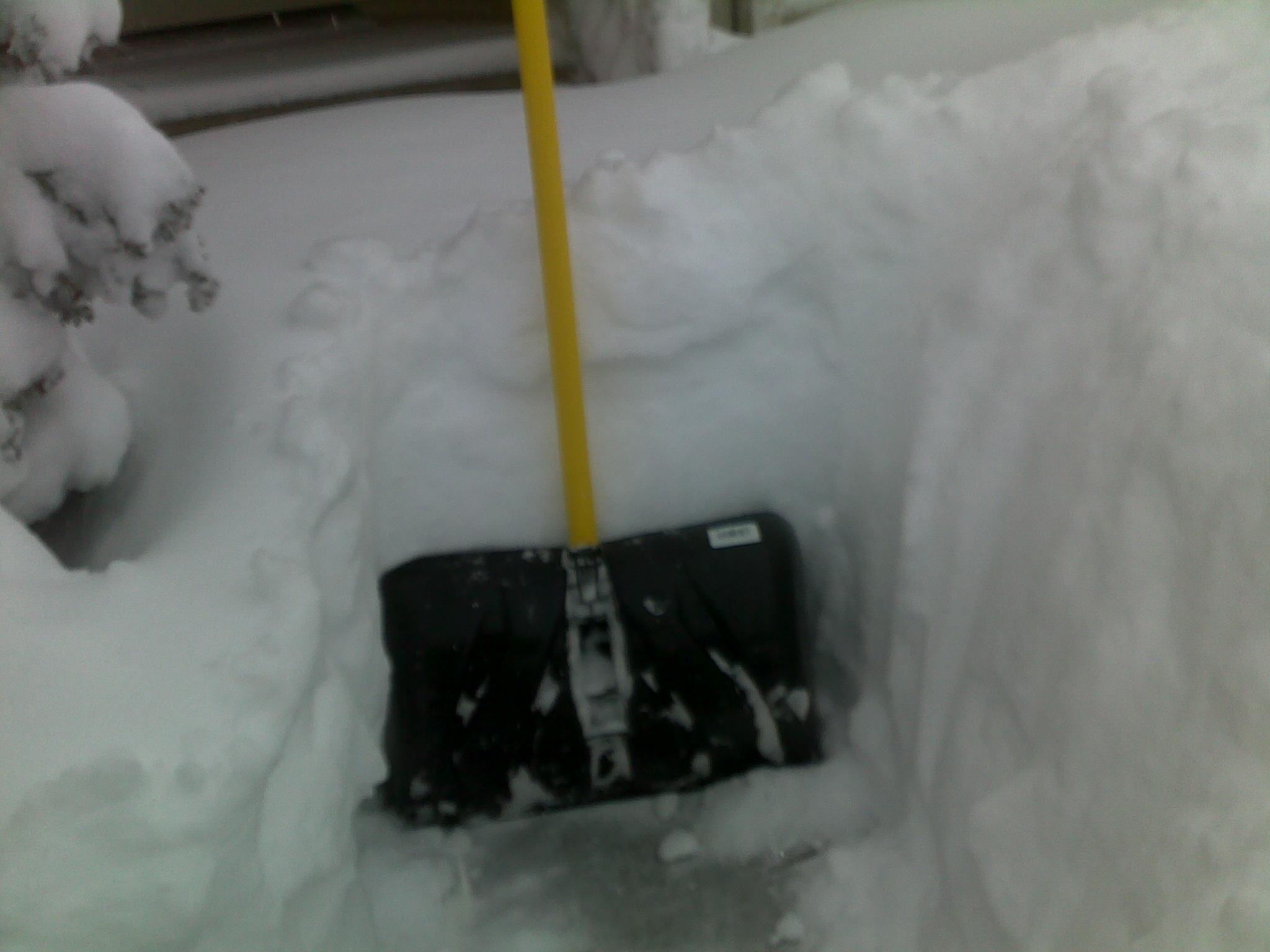 02062010417.jpg