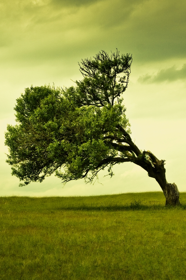 02154_standalonecleanwallpaper_1920x1080.jpg