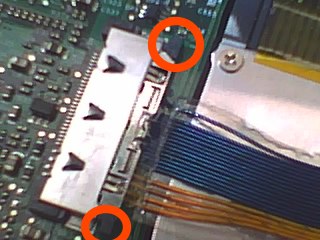 0219081425yf3.jpg