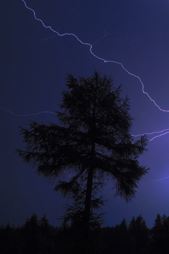 02263_flash_1.jpg