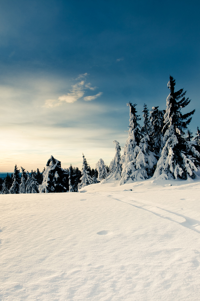 02265_wintersun_640x960.jpg