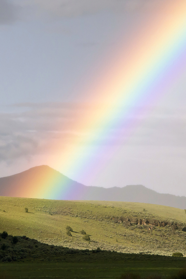 02276_ochocorainbow_1.jpg