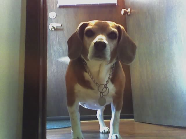 03-18-06_1409.jpg
