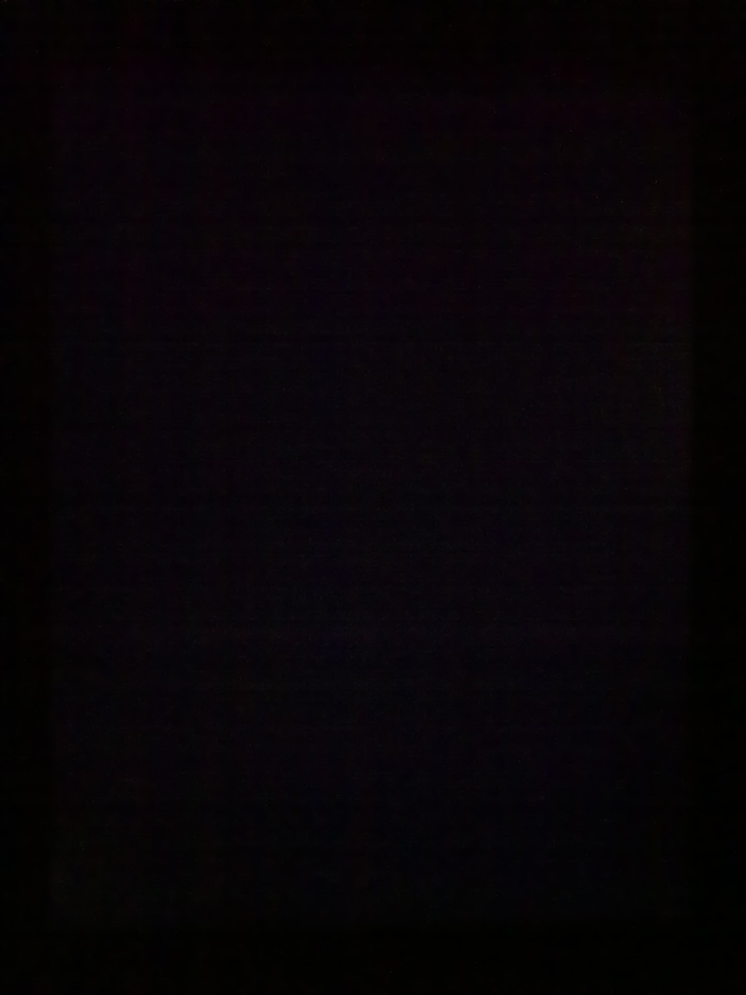 04062011061.jpg