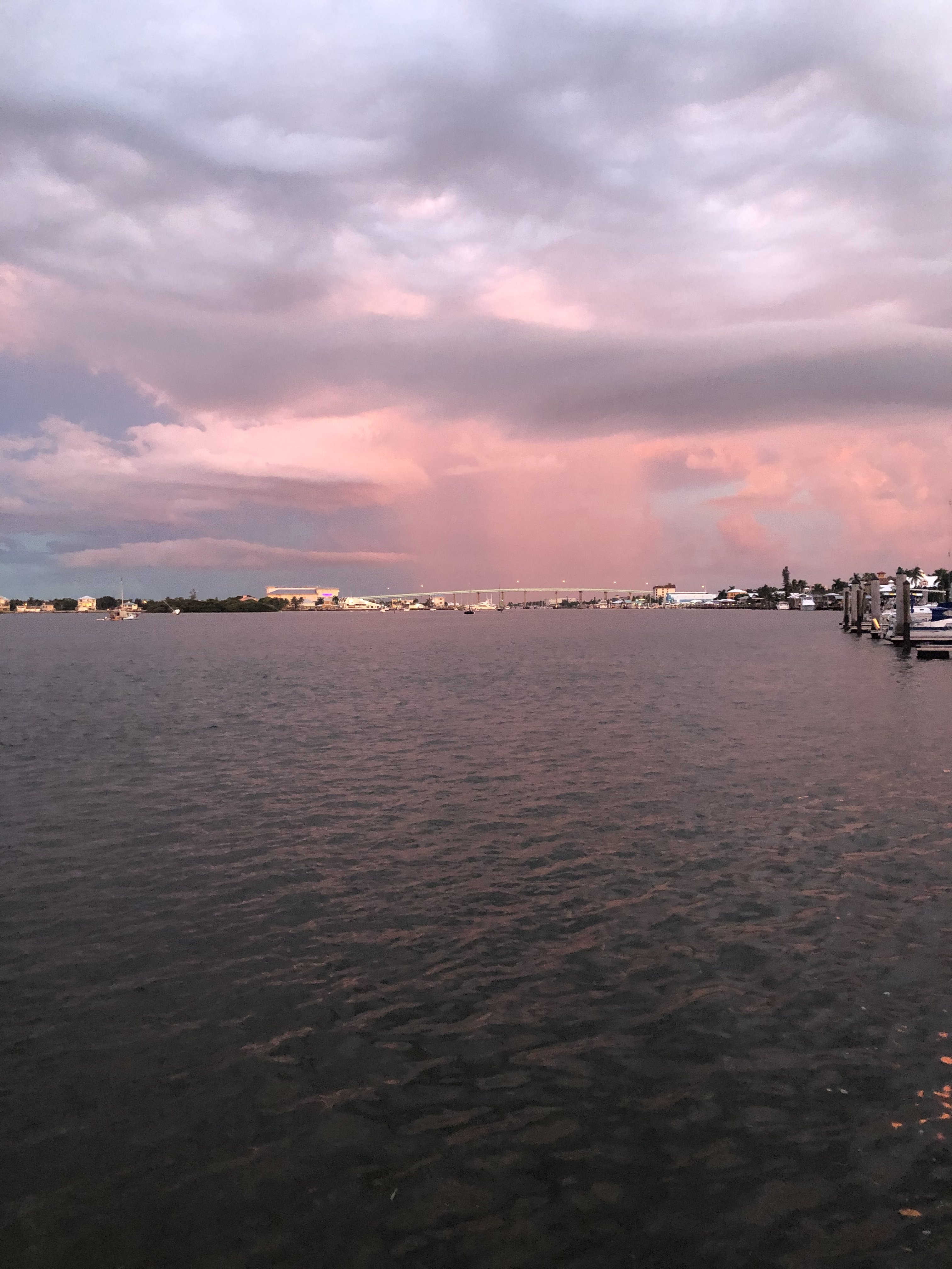 0410F0A8-321E-4079-9C19-A6D1EA85F8C3.jpeg