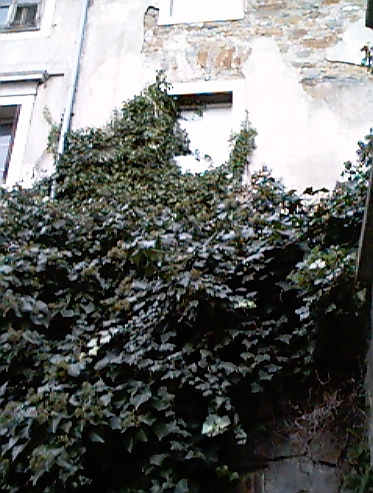 05-11-2001 4.jpg
