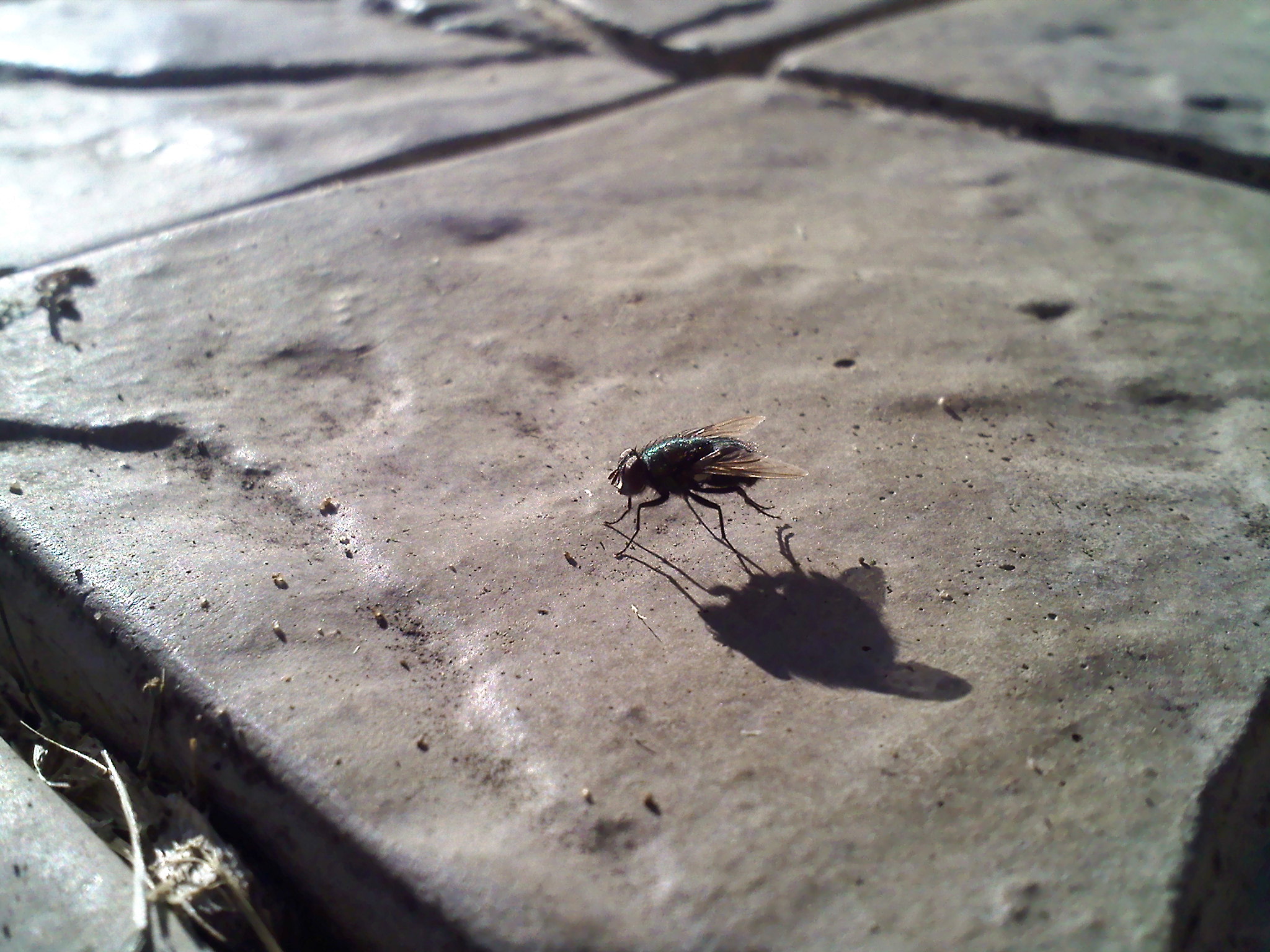 0617001836a.jpg