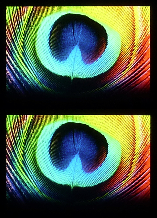 06_colors3.jpg