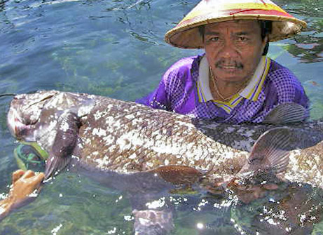 070522-coelacanth_big.jpg