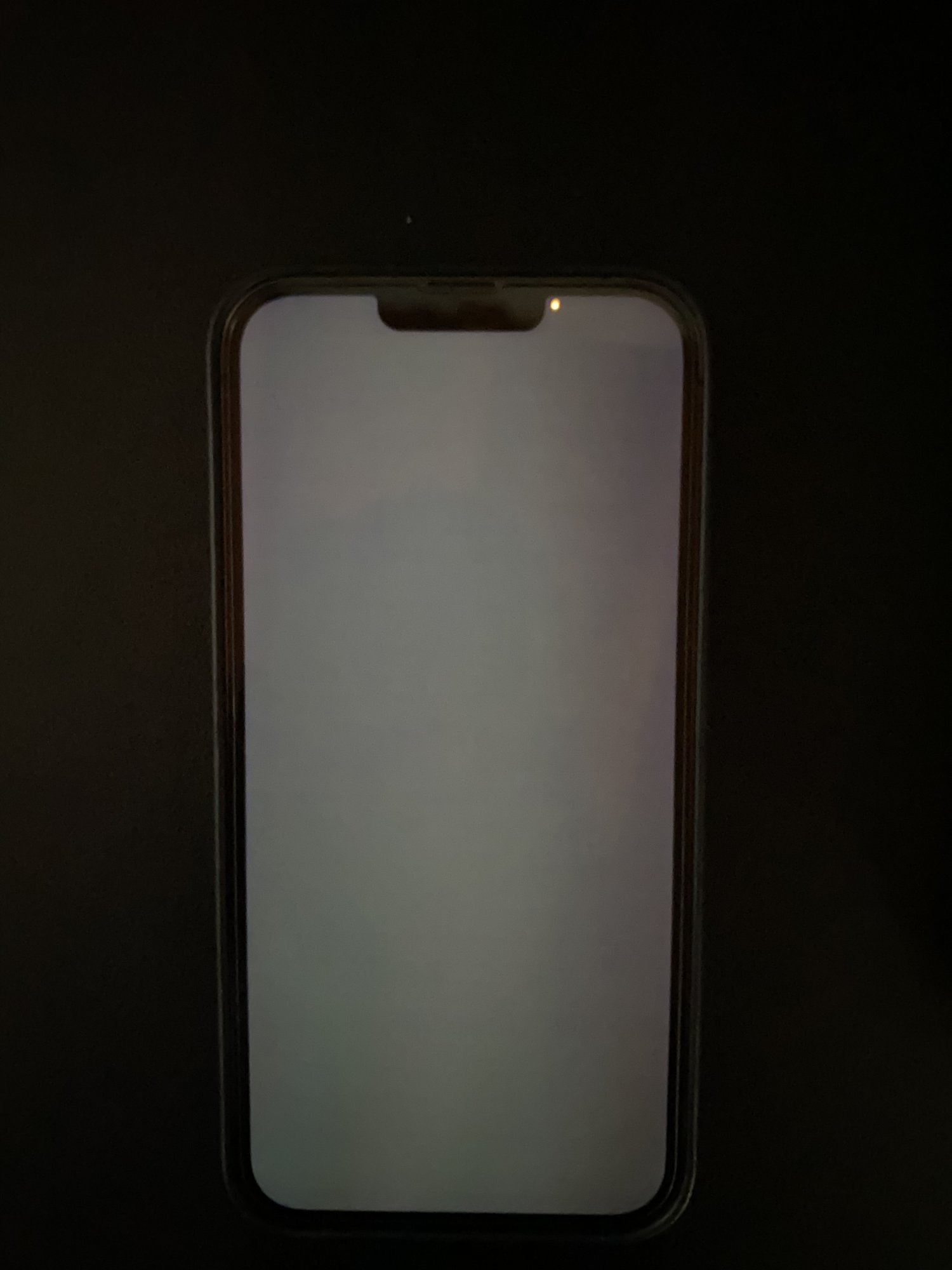 08365F13-4D42-4130-8A3F-AB1BC13FA96D.jpeg