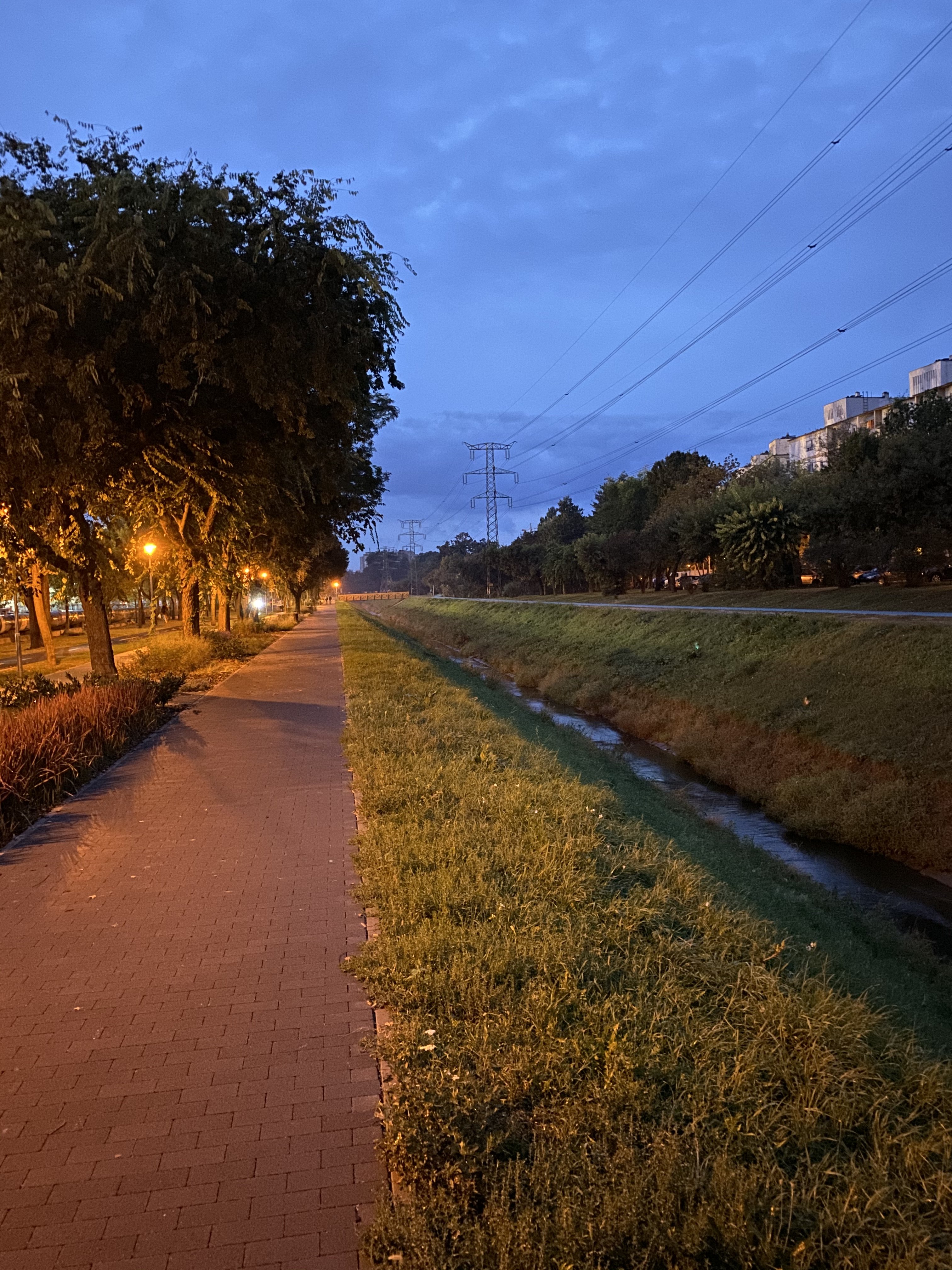 0C169855-539D-49EB-8A82-1AC263A9D267.jpeg