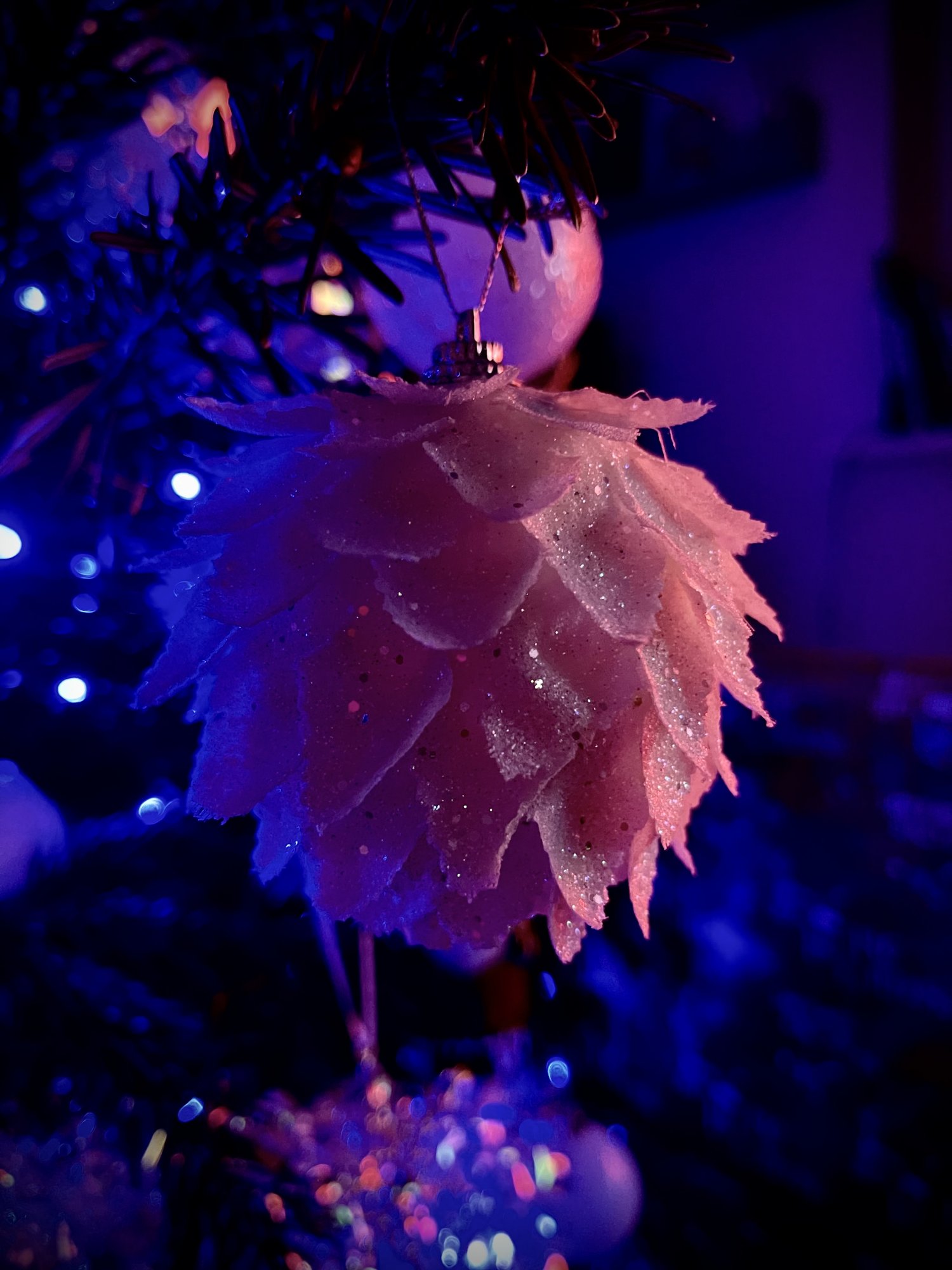 0D404533-EC50-4545-9BA5-00F0C3B976B4.jpeg