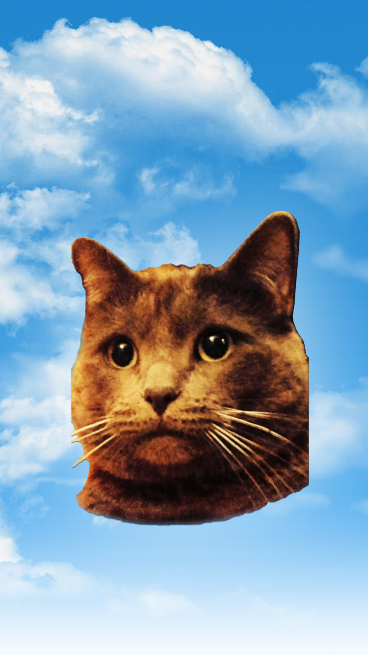 1.png
