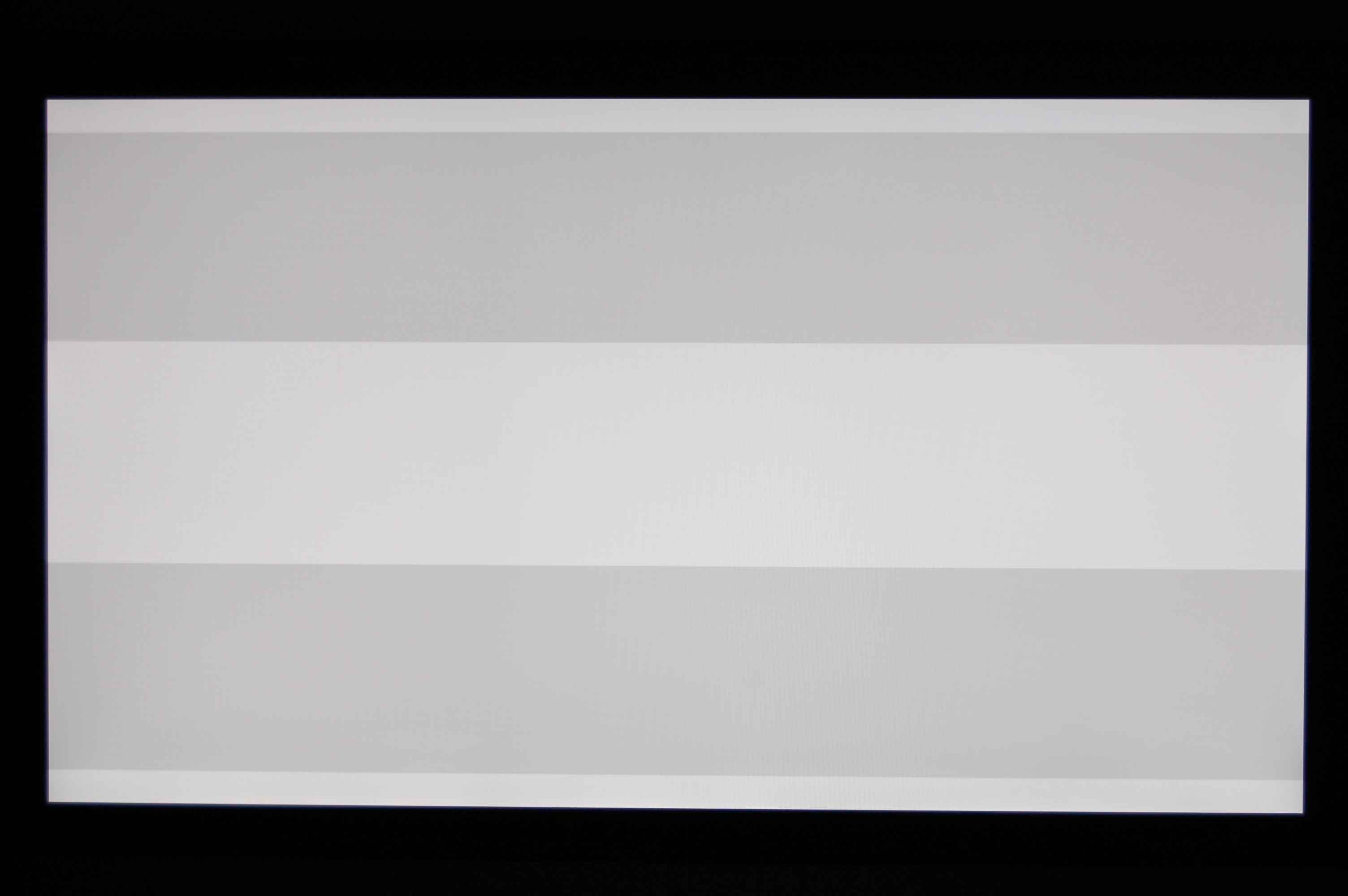 100.JPG