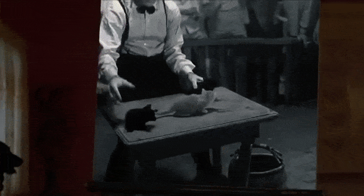 1000022442.gif