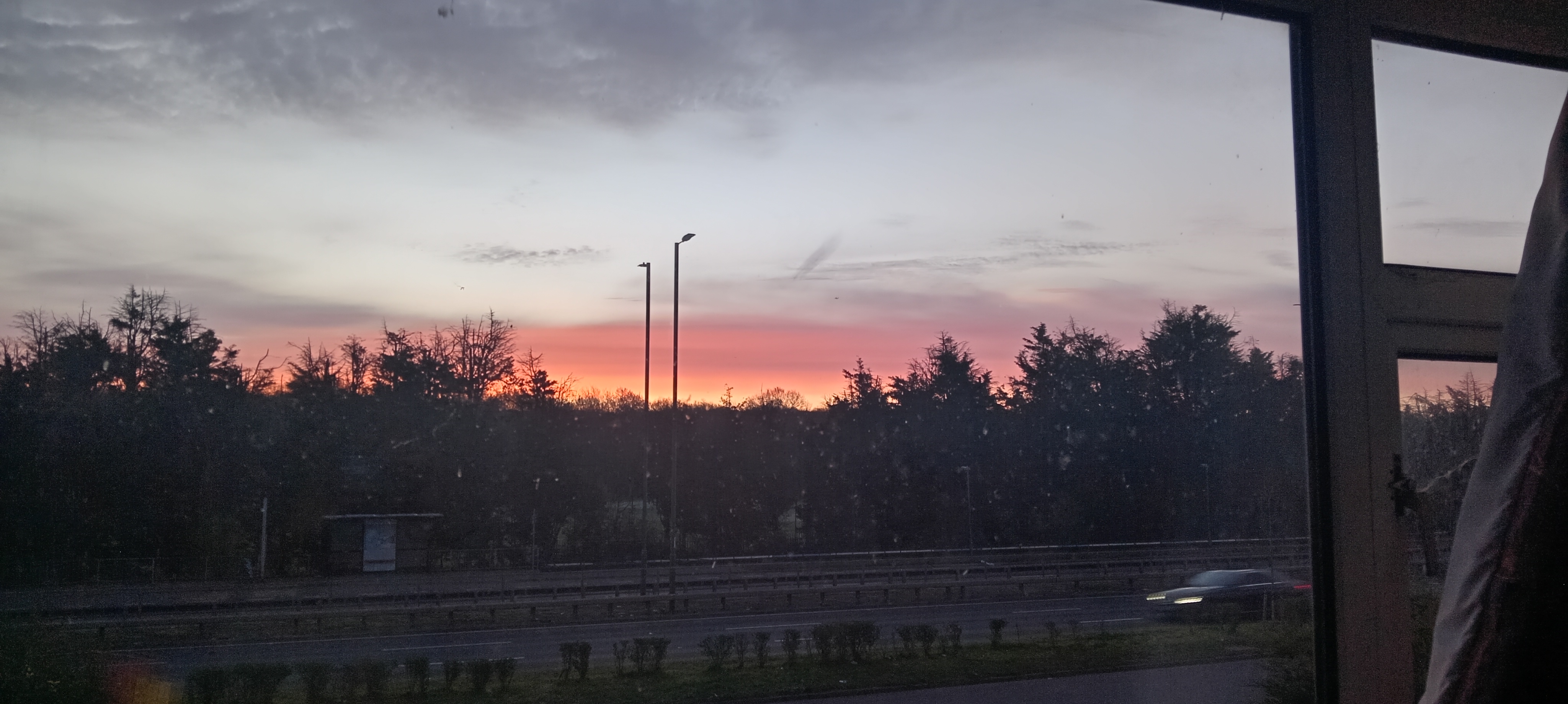 1000103387.jpg